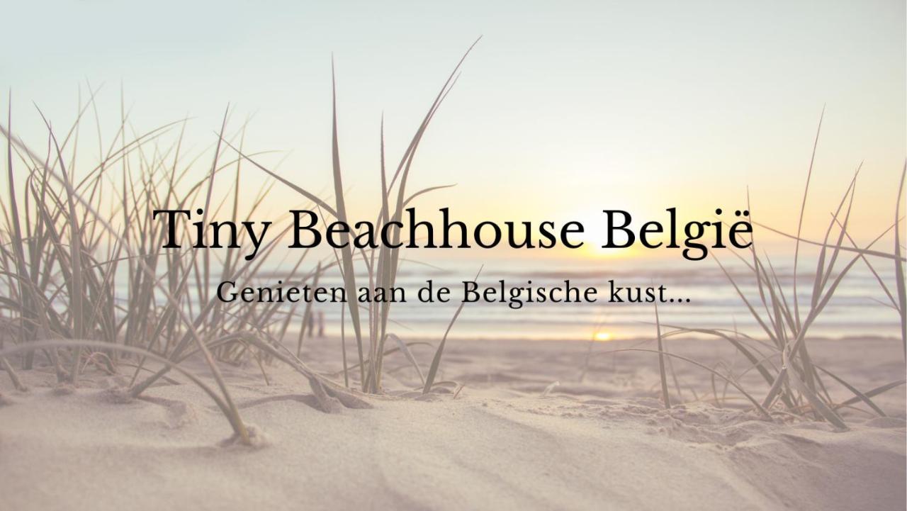 Tiny Beachhouse Belgium, 温都尼 外观 照片